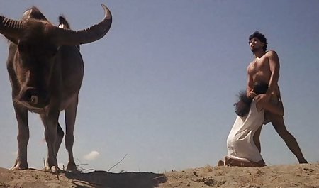 پسران فلم سکس دختری زدن جوان هدیه ای شکننده می دهند